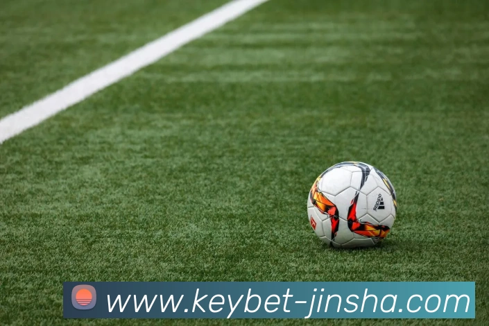 金沙娱乐平台生态图